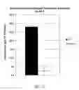 Fig. 10 - PDE10 inhibitors and related compositions and methods