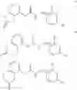 Fig. 08 - TRPV1 vanilloid receptor antagonists with a bicyclic portion