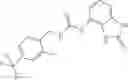 Fig. 12 - TRPV1 vanilloid receptor antagonists with a bicyclic portion