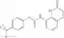 Fig. 68 - TRPV1 vanilloid receptor antagonists with a bicyclic portion