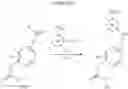 Fig. 17 - 3,5-dichloro,4-(3,4-(cyclo-)alkoxyphenyl)--2-carbonyloxy)ethyl)pyridine derivatives as PDE-4 inhibitors