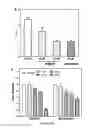 Fig. 07 - STAT3 inhibitor