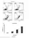 Fig. 16 - STAT3 inhibitor