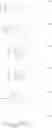 Fig. 12 - IMIDAZOTRIAZINONE COMPOUNDS