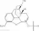 Fig. 48 - Alpha-hydroxy carboxylic acid and derivatives and other GRAS based prodrugs of oxycodone and uses thereof