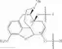 Fig. 49 - Alpha-hydroxy carboxylic acid and derivatives and other GRAS based prodrugs of oxycodone and uses thereof