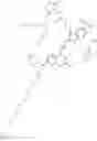 Fig. 155 - BENZOPYRYLIUM COMPOUNDS