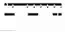 Fig. 02 - Scaphopetalone analogs and their uses