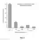 Fig. 04 - Scaphopetalone analogs and their uses