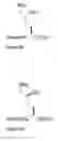 Fig. 04 - Stapled helical peptides and methods of synthesis