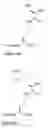 Fig. 06 - Stapled helical peptides and methods of synthesis
