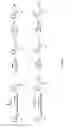Fig. 07 - METHODS AND COMPOSITIONS FOR SITE-SPECIFIC LABELING OF PEPTIDES AND PROTEINS
