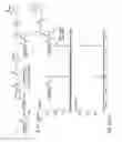 Fig. 16 - METHODS AND COMPOSITIONS FOR SITE-SPECIFIC LABELING OF PEPTIDES AND PROTEINS