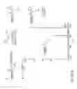 Fig. 19 - METHODS AND COMPOSITIONS FOR SITE-SPECIFIC LABELING OF PEPTIDES AND PROTEINS