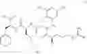 Fig. 04 - Process for the production of D-arginyl-2,6-dimethyl-L-tyrosyl-L-lysyl-L-phenylalaninamide