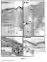 Fig. 02 - COMPOSITIONS FOR THE TREATMENT OF WOUNDS