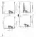 Fig. 11 - Drug regulated transgene expression