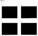 Fig. 19 - SINGLE CHAIN VARIABLE FRAGMENT (SCFV) ELONGATION MUTANTS
