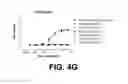 Fig. 13 - Antibodies and antigen-binding fragments that specifically bind to microtubule-associated protein tau