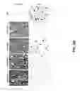 Fig. 17 - Antibodies and antigen-binding fragments that specifically bind to microtubule-associated protein tau
