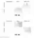 Fig. 18 - Antibodies and antigen-binding fragments that specifically bind to microtubule-associated protein tau
