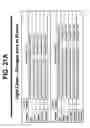 Fig. 28 - M-CSF specific monoclonal antibody and uses thereof