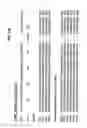 Fig. 33 - M-CSF specific monoclonal antibody and uses thereof
