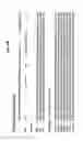 Fig. 35 - M-CSF specific monoclonal antibody and uses thereof