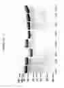 Fig. 08 - Functional antibody fragment complementation for a two-components system for redirected killing of unwanted cells