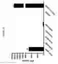 Fig. 20 - Functional antibody fragment complementation for a two-components system for redirected killing of unwanted cells
