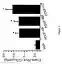 Fig. 02 - Methods and compositions for modulation of blood-neural barrier