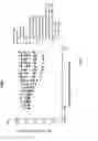 Fig. 10 - Pan-HER antibody composition