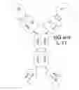 Fig. 06 - Anti-inflammatory molecules with tissue-targeting functions