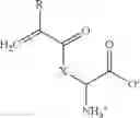 Fig. 07 - Biocompatible polymers and co-polymers, and uses thereof
