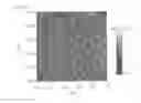 Fig. 06 - Polymer brush