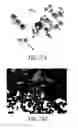 Fig. 24 - Preparation of polymeric resins and carbon materials