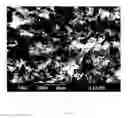 Fig. 03 - Microporous sheet product and methods for making and using the same