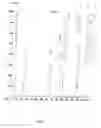 Fig. 02 - Reactive compositions containing mercapto-functional silicon compound