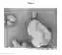 Fig. 02 - Process for the preparation of a semi-crystalline semi-aromatic polyamide