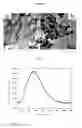 Fig. 02 - Method for preparation of carbon quantum dots and application