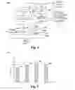 Fig. 04 - pH-adjuster free chemical mechanical planarization slurry