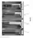 Fig. 04 - Cationic polymers for foam fracturing applications