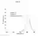 Fig. 05 - Semiconductor nanocrystal and preparation method thereof