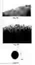 Fig. 02 - Nanoparticles, Nanosponges, Methods of Synthesis, and Methods of Use