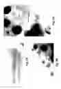 Fig. 04 - Nanoparticles, Nanosponges, Methods of Synthesis, and Methods of Use