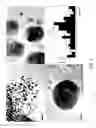 Fig. 02 - NANOCATALYST COMPOSITION, METHOD FOR MAKING NANOCATALYST COMPOSITION AND HYDROCONVERSION PROCESS USING SAME