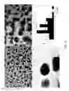 Fig. 03 - NANOCATALYST COMPOSITION, METHOD FOR MAKING NANOCATALYST COMPOSITION AND HYDROCONVERSION PROCESS USING SAME