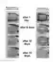 Fig. 03 - MICROBIAL OIL AND FAT CLEANING AGENT COMPOSITION BLOCK FOR DRAINPIPES AND METHOD OF PRODUCING THE SAME