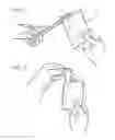 Fig. 03 - Dissolvable detergent pouch and method