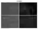 Fig. 07 - Hepatic stellate cell precursors and methods of isolating same